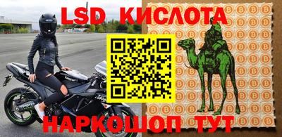 дживик Берёзовский