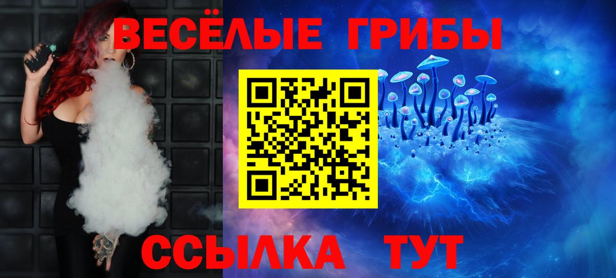 Дедовск  Псилоцибиновые грибы Psilocybine cubensis  Вход с VPN 