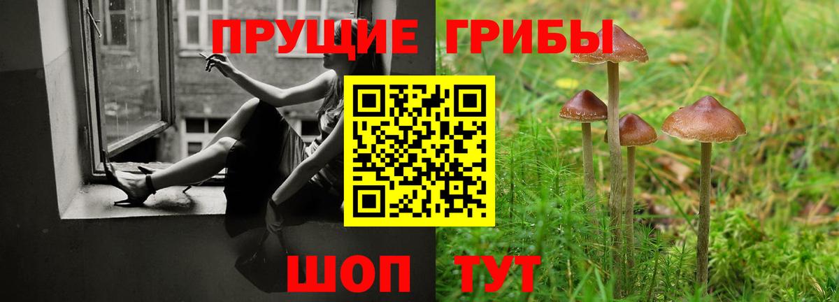 Галлюциногенные грибы Cubensis Дедовск